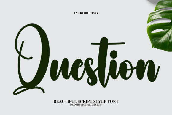 The Delicate Art of Question: A Font for Unique Design